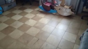 Пол из фанеры спустя шесть лет.