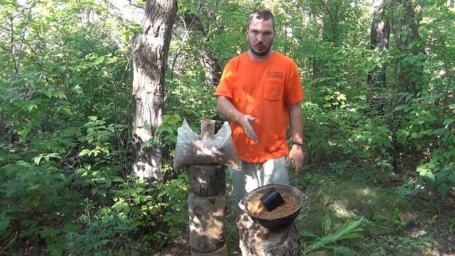 Грибы шиитаке, посадка мицелия на чурки смотреть онлайн