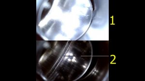 Лось 145 и Sauer 100 / Правильный ответ