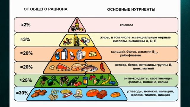 Углеводы, белки, жиры смотреть онлайн