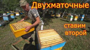 ДВУХМАТОЧНЫЕ! залили МЁДОМ магазин! КАРНИКА на Медосборе!
