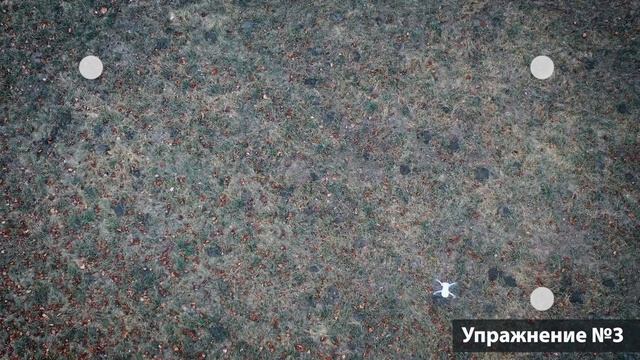 Как Научиться Управлять Квадрокоптером DJI Mavic Mini? смотреть онлайн