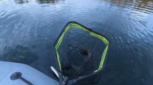 Щука на бигбейты. Тестирую новое удилище от Дайвы.