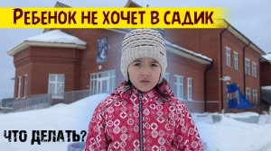 Влог Ребенок не Хочет в САДИК Написали Заявление Наша кошка после Стерилизации // Жизнь Наизнанку