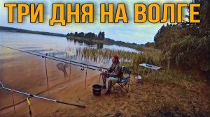 #2. РЫБАЛКА НА ВОЛГЕ / ЛОВЛЮ НА ФИДЕР / 2021