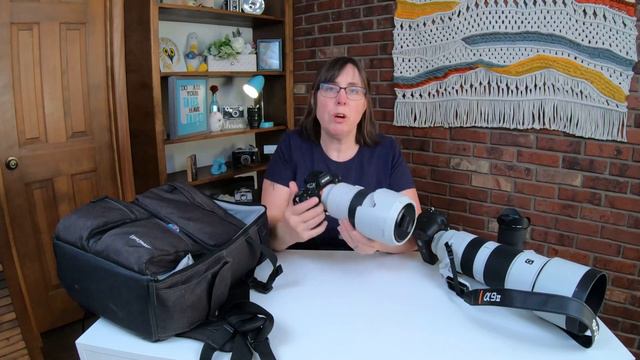 Camera Gear for Pet Photography | 2020 смотреть онлайн