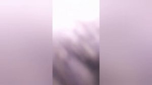 Съезд группы автомобилей митцубиси паджеро Пинин и Ио города Уфы.