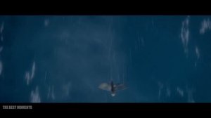 ЛЕТАЮЩАЯ РЫБА - ЖИЗНЬ ПИ (2012)