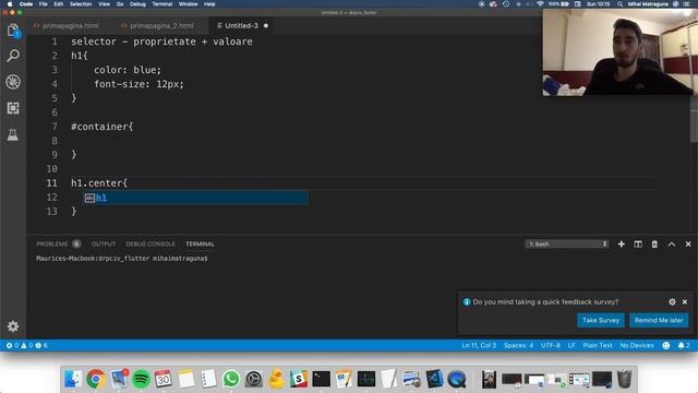 Tutorial CSS – Invata in 10 minute смотреть онлайн