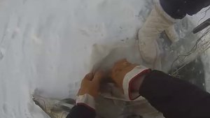Рыбалка.Ставим и проверяем сети зимой.На судака!