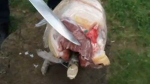 Клинок мастера ИЗ