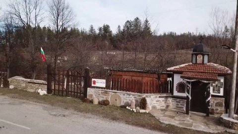 Къртипъня колибак в забрава