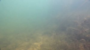 Лучшие воблера на ЩУКУ И ОКУНЯ!Игра в воде!