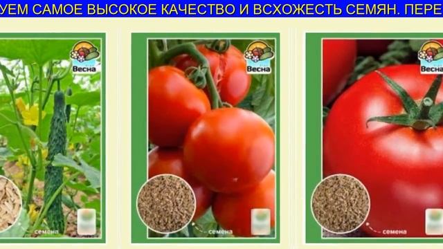 Урожайные Семена Богатый Фермер