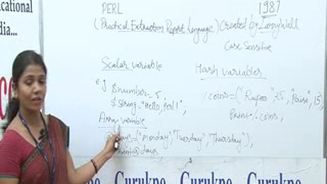 PERL programming basics Lecture (BCA,MCA)by Ms. Rashmi Sharma. смотреть онлайн