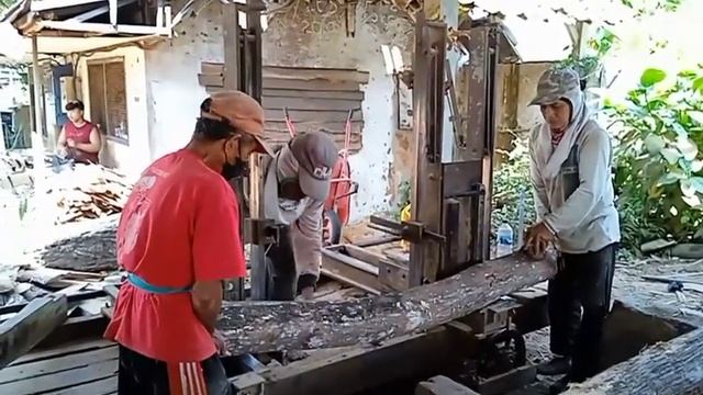 As hard as cast steel || teak wood from the island of Java is extraordinary смотреть онлайн