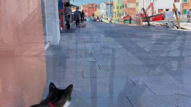 Живописный остров Бурано, Венеция, Италия