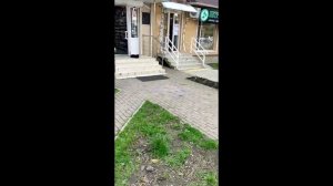 Гобо-проекторы марки IGP s5 - разоблачение.