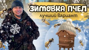 Зимовка среднерусской пчелы. Зимовник на Урале.