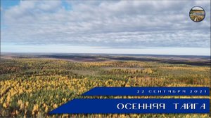 Осенняя тайга с высоты птичьего полёта. 22.09.2021.