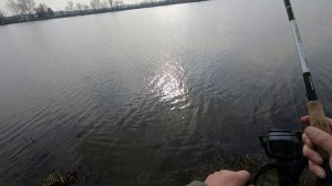 Forellenseeu 04.03.24