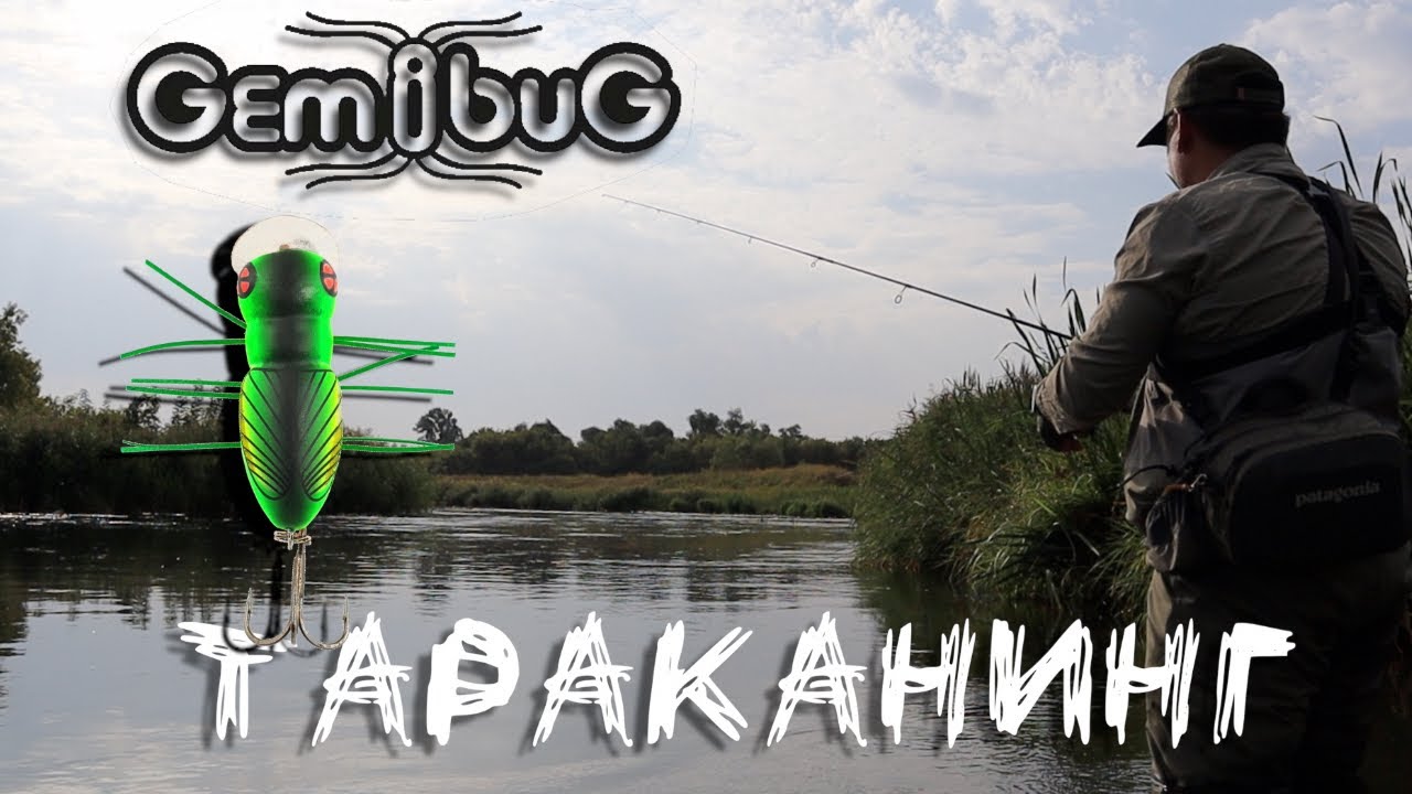 Тараканинг¸ GEMIBUG