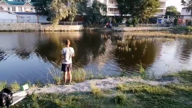 АНАПА ВЕЧЕРОМ. ПОЙМАННАЯ РЫБА В АНАПКЕ смотреть онлайн