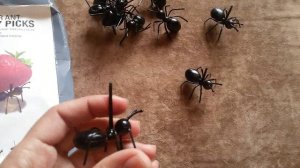 ДЕКОРАТИВНЫЕ МУРАВЬИ ДЛЯ ДЕСЕРТА