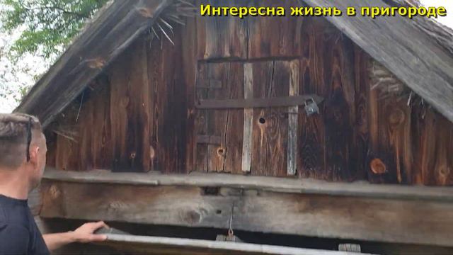 Прогулка по городу с Колей,Олей Шаповаловыми/Пробуем устрицы/Влог