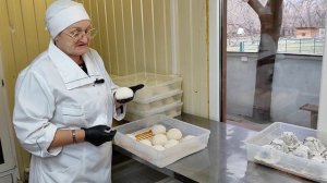 сыр Шампиньон, сыр из козьего молока с белой плесенью