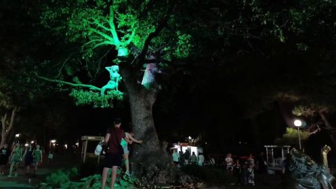 Геленджик сегодня