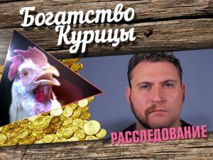 Богатство Курицы: Расследование. Бородовластие