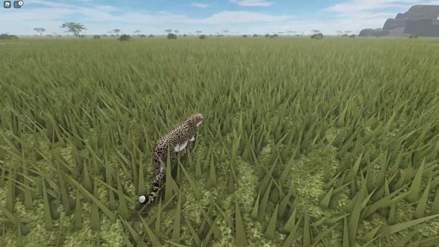 Roblox - Testing A | "A cheetah dives into an impala herd and hunts one of 'em!" смотреть онлайн