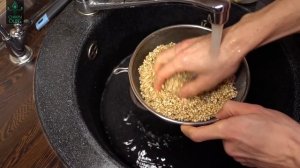 Как прорастить зеленую гречку в домашних условиях