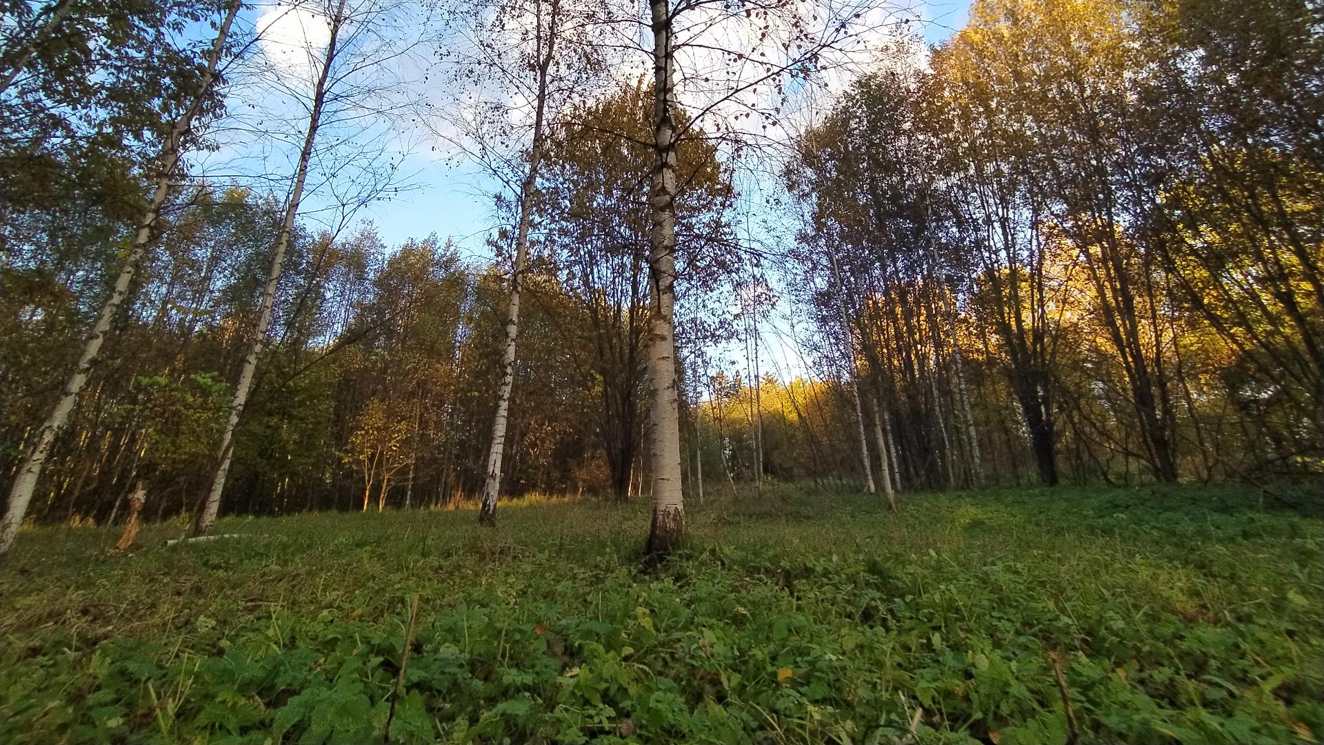 Дом