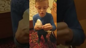 Как подключить мышку к компьютеру!