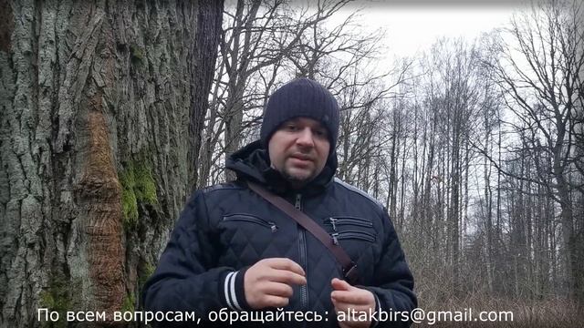 ОККУЛЬТИЗМ И МАГИЯ | ОБУЧЕНИЕ МАГИИ - Заговоры. Как правильно читать заклинания?