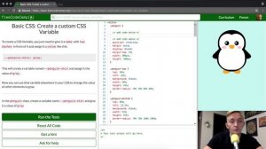 Basic CSS - Create a custom CSS Variable - freeCodeCamp