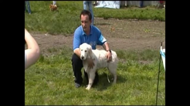 hmelnuck2012 смотреть онлайн