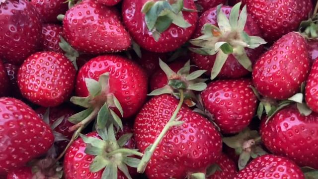 Королевская клубника. Берем клубнику смотреть онлайн