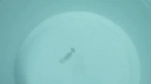 Зимняя блесна КТ - 36 мм