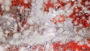 Георгий Свиридов -" Отзвуки вальса" из к/ф " Метель "