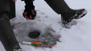 Зимняя рыбалка в Удмуртии на окуня. Первый лед.