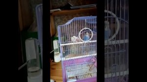 Знакомство с подругой жизни