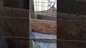 Кормушка для кроликов для резаного сена и траввы