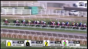 2015 Melbourne Cup - Prince of Penzance