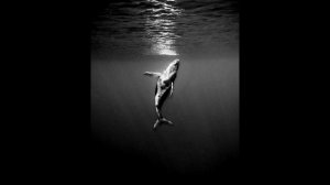 [free for profit] SAD STORYTELLING PIANO TYPE BEAT - "UNDERWATER" ГРУСТНЫЙ БЕСПЛАТНЫЙ БИТ ЛИРИЧНЫЙ