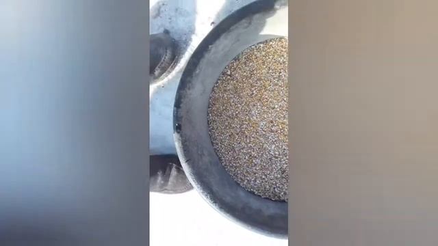 Суперская зерносмесь для кроликов. смотреть онлайн