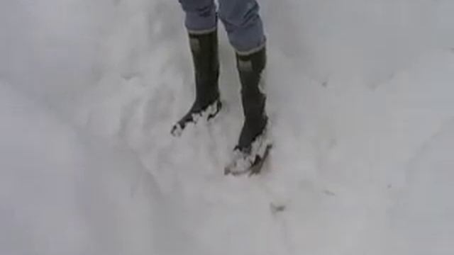 The Boot Movie смотреть онлайн