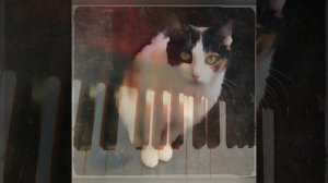 В память о моей любимой Ксюшеньке (Моя музыка)